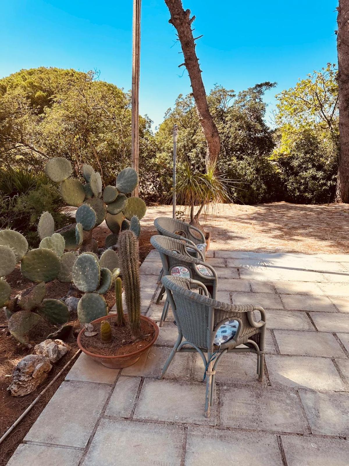 Casa Vacanze Capurre "Trulli E Pajare A Due Passi Dal Pizzo" Gallipoli Εξωτερικό φωτογραφία